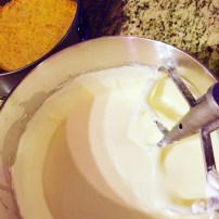 cheese cake and crust